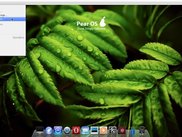 Bureau / Desktop